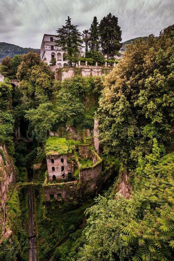 Al Parco Primavera B&B Sorrento Ngoại thất bức ảnh